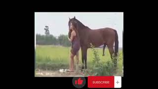 Mxtube.net :: Manusia sex dengan kuda Mp4 3GP Video & Mp3 Download ...