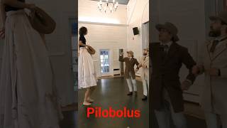 Microdose Pilobolus from Untitled