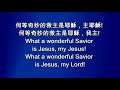 何等奇妙的救主 what a wonderful savior 206