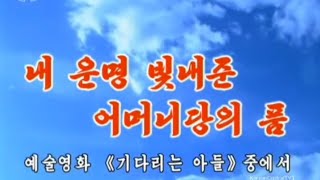 【北朝鮮音楽】내 운명 빛내준 어머니당의 품（我が運命を輝かせてくれた母なる党の懐）牡丹峰楽団