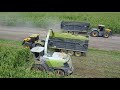 Robinson  Farms 2018 Corn Silage Harvest