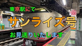 東京駅にてサンライズ号をお見送りします【のぞみさくらミニオン火星人】