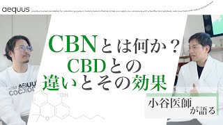 【医師が解説】CBNって何？その効果とは何か？