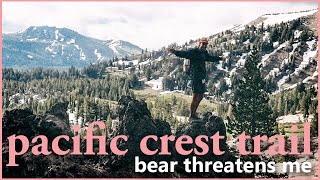 A BEAR Wakes Me Up at Camp - Pacific Crest Trail ep.9