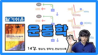 [운동학] 14강. 동심성, 등척성, 편심성 수축