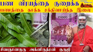 பண விரயத்தை குறைக்க பணத்தை காக்க பரிகாரம் | Maa ilai payangal |Mangotree benefits in Tamil|ருத்ரன்ஜி