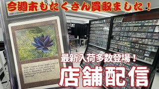 【店舗配信】特別商品をゲットしよう！MTG専門店から生配信！【東京MTGオンラインブース】