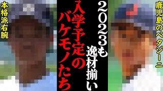 もはや中学生のレベルじゃない！2023大阪桐蔭入学予定のスーパー中学生を紹介！！名門に再び黄金期到来か！？