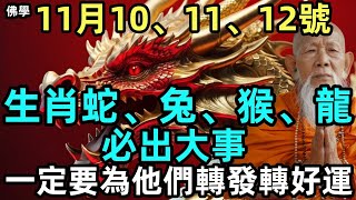 11月10、11、12號，生肖蛇、兔、猴、龍必出大事，一定要為他們轉發轉好運！