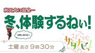 【サタナビっ！】2024年11月23日(土)放送