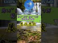 4b230 屡战屡败怎么读 拼音注音 意思解释快速学成语 shorts chinese chineseidioms