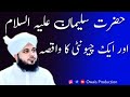 Hazrat Suleman Aleh Salam Aur Ek Chhoti Ka Waqia | Peer Ajmal Raza Qadri Bayan | Owais Production