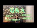 Q&A