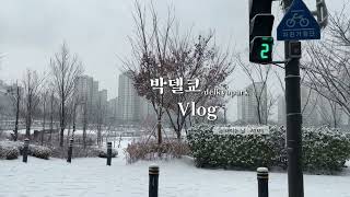 [일상 Vlog] 눈 브이로그 🌨⛄❄| 눈 밟는 소리 | 장작타는 소리 |