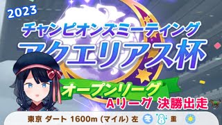 【ウマ娘/チャンミ】アクエリアス杯 オープンAリーグ　決勝出走🏇【詩木織葵葉/新米Vtuber】