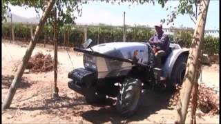 Tractor Lamborghini Viñatero RV 90 3 con Subsolador de 5 Puntas