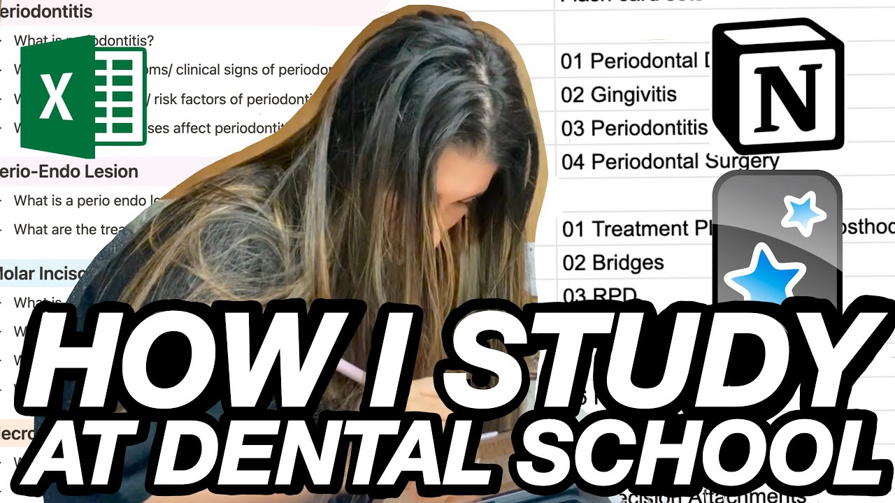 HOW I STUDY IN DENTAL SCHOOL - YouTube