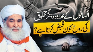 Dosri Makhlooq Ki Rooh Kon Qabz Karta Hai? | Jinnat Ki Rooh Kon Qabz Karta Hai | Maulana Ilyas Qadri