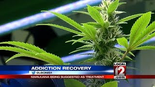 Can medical marijuana help addicts transition off heroin and opioids?