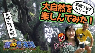 【数珠つなぎシリーズ】大自然を楽しんでみた【由布院】