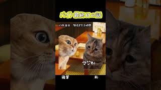 バイト最終日の話　 #猫 #猫ミーム