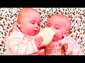 30 Minutes Cutest TWIN Babies Videos EVER! || Just Laugh
