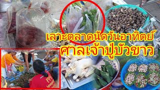 #เลาะตลาดนัดวันอาทิตย์ ศาลเจ้าปู่บัวขาว อ.กุฉินารายณ์ จ.กาฬสินธุ์ ได้น้องวัวและกุ้งเต้น!!