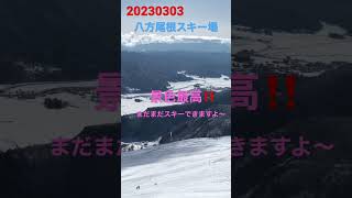 20230303ひな祭り八方は、最高です‼️ #happo #hakuba #八方尾根スキー場 #snow ＃白馬生活