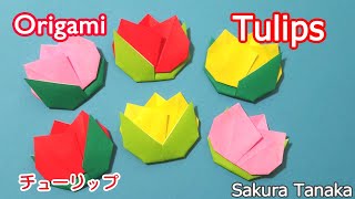 Origami Locust 折り紙 バッタ 折り方 Origami Locust 折り紙 バッタ 折り方