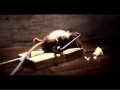 funny rat commercial