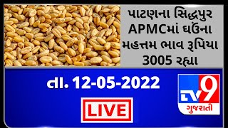 Mandi: પાટણના સિદ્ધપુરAPMCમાં ઘઉંના મહત્તમ ભાવ રૂપિયા 3005 રહ્યા |Tv9News