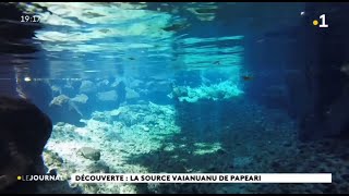 Découverte : la source Vaiamuanu de Papeari