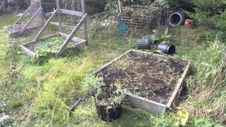 Winter Preparations and some Autumn Harvest