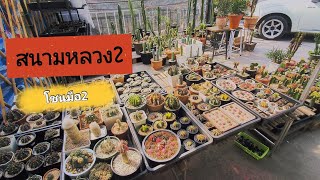 สนามหลวง2 ซื้อของตลาดมือสอง ของถูกแค่ไหน