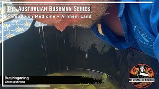 Yolngu Bush Medicine in Arnhem Land