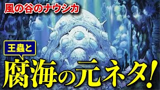 【風の谷のナウシカ】王蟲と腐海の元ネタがあった!?  【岡田斗司夫/切り抜き】