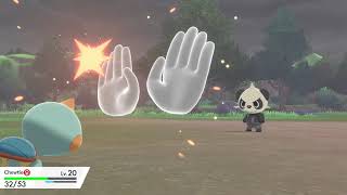 Pokemon Sword - Chewtle vs Pancham