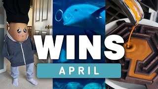 WIN Compilation APRIL 2024 Edition (Best of March)