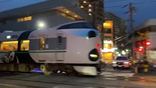 JR西日本 阪和線🌈和泉府中駅停車、ハローキティはるか、元オーシャンアロー、パンダくろしお号、17時以降停車する。2024年6月27日 まで。2024.5.22。