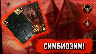 [MetaGwentPlay] Симбиоз. Кащей. Патч 10.8/ KA Gwent