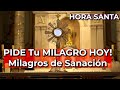 Hora Santa: Pidiendo a Jesús por la Curación de las Enfermedades - Alimento de Fe