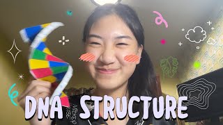 โครงสร้าง DNA 🧬🩷 | ส่งงาน ชีววิทยา ครูต้น | Amy Awasada