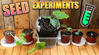 🧪 Seed Starting Experiment Results | Giant Pumpkin Beginner Tips