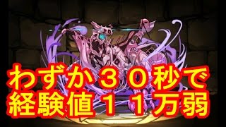 【パズドラ】ドラゴンゾンビ　ポチポチ高速周回３０秒！！