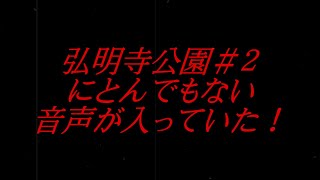 【放送事故】生放送中に入っていた怪奇音声【弘明寺公園編＃０２】