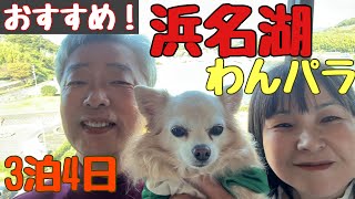 愛犬vlog【浜名湖わんパラ】デカチワワ甘太郎