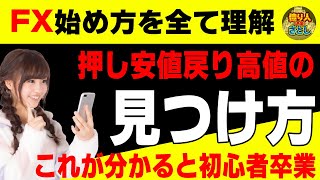 【FX初心者講座】押し安値戻り高値の見つけ方これが分かれば初心者卒業です【投資家プロジェクト億り人さとし】