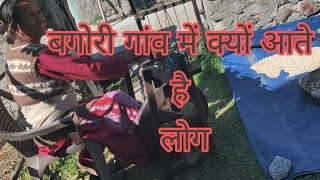 Bagori village harshil valley बगोरी गांव में क्यों आते है लोग uttarakhand wale