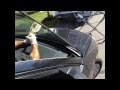 2001-05 Honda Civic windshield replacement