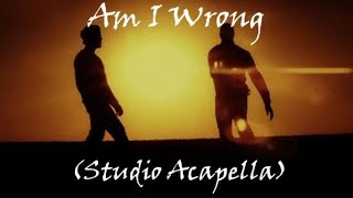 Nico & Vinz - Am I Wrong (Official Acapella)